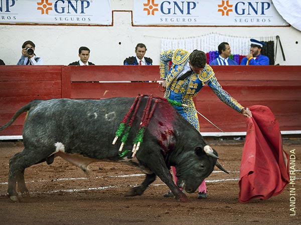 La voluntad no falt�