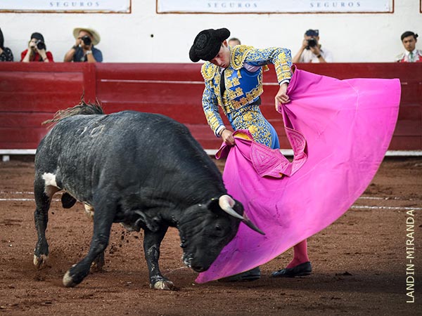 Remate en los medios