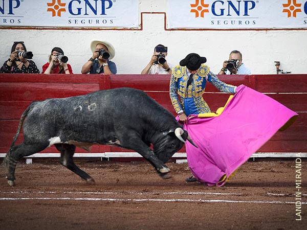 Fern�ndez, primer espada