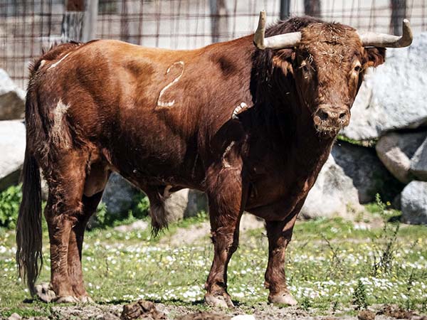 No. 2 (Moreno P�rez-Tabernero)