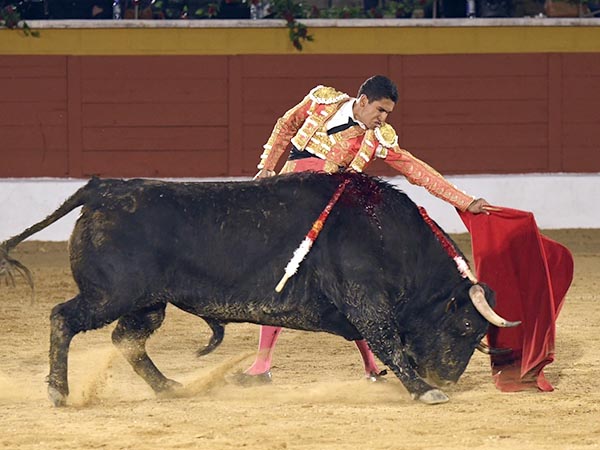 Los naturales del mexicano