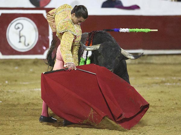 Dominio de las alturas