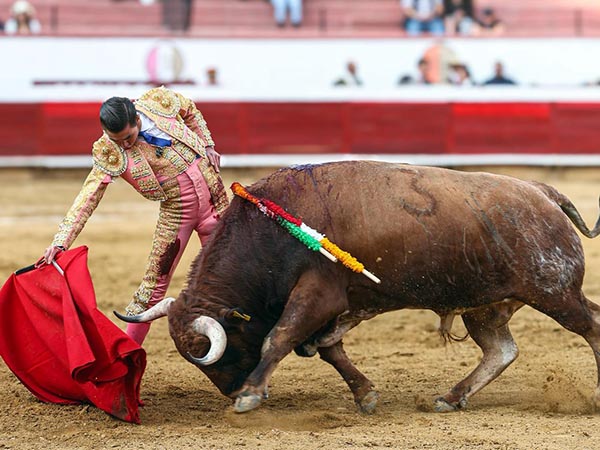 Mando, claridad y cabeza