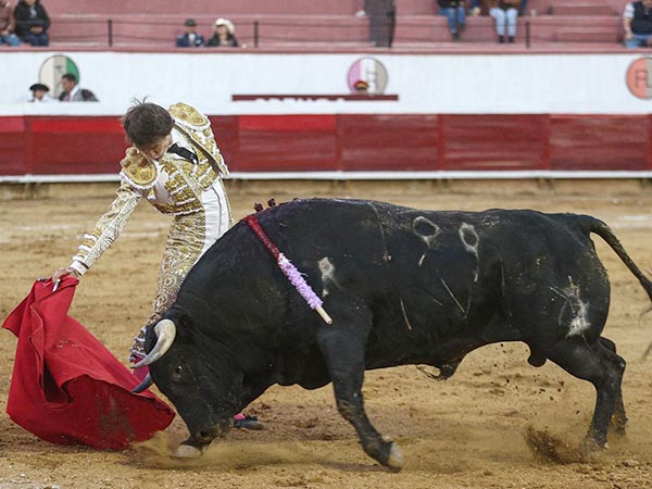 Series profundas y templadas