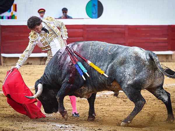 Tirando del ejemplar