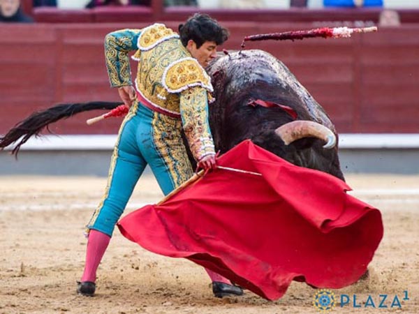 Fonseca en Las Ventas de Madrid