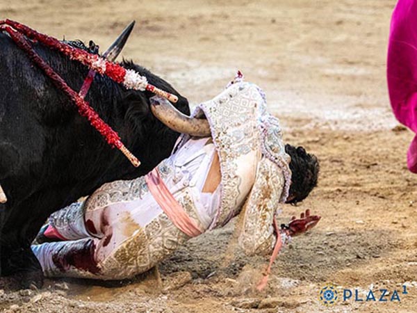 Enganchado de la casaca