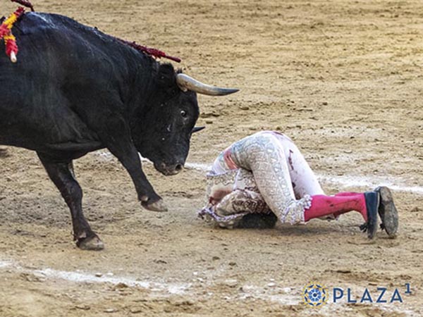 Fea voltereta de P�rez