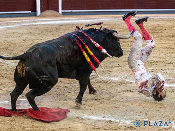 Suspendido en el aire