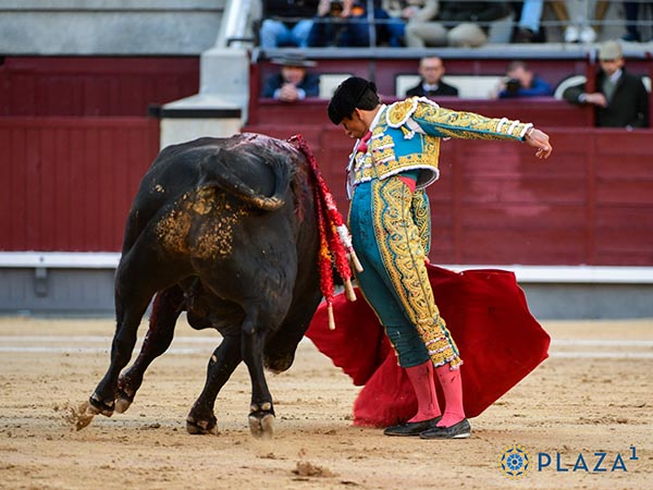 Valiente matador