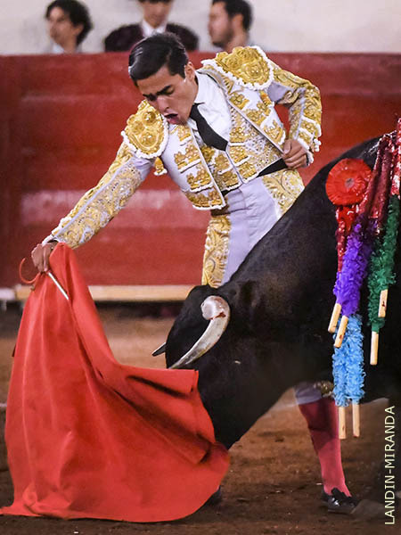 Faena derechista, con oficio