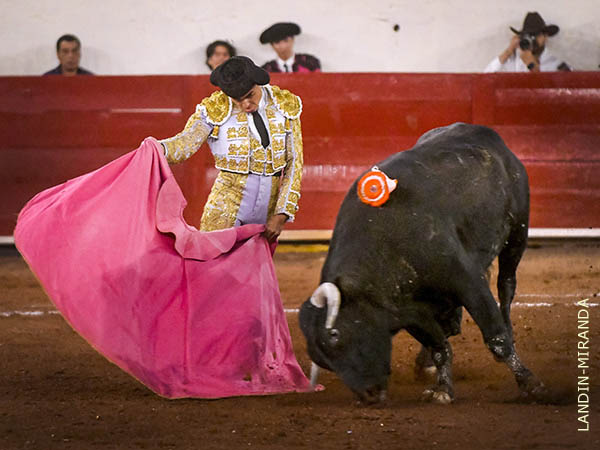 Las ver�nicas de Sergio Paredes