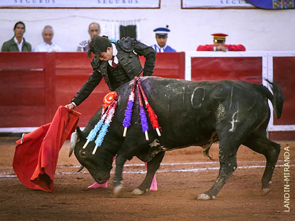 Mantuvo el inter�s del tendido