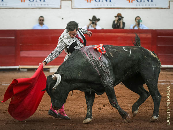 Ejemplar con buenas condiciones