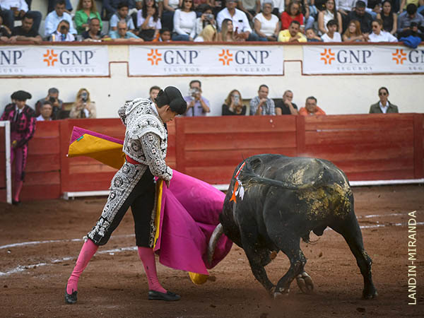 Remate de Laguna Varela