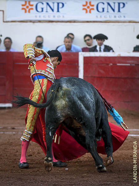 Traz� buena tanda de naturales