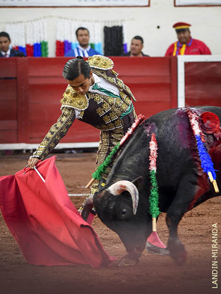 Voluntarioso con la muleta