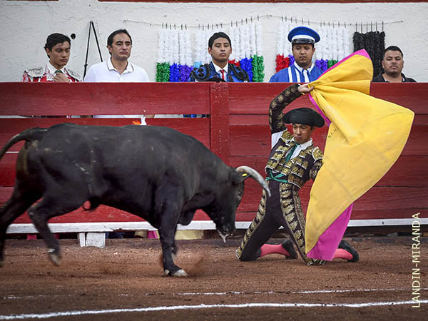 El saludo de Diego Alarc�n