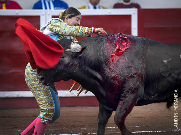 Efectiva espada de la torera