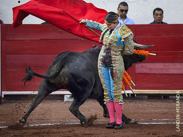 Ep�logo de manoletinas