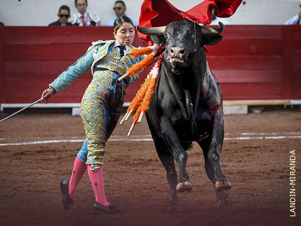 Por alto, en los medios