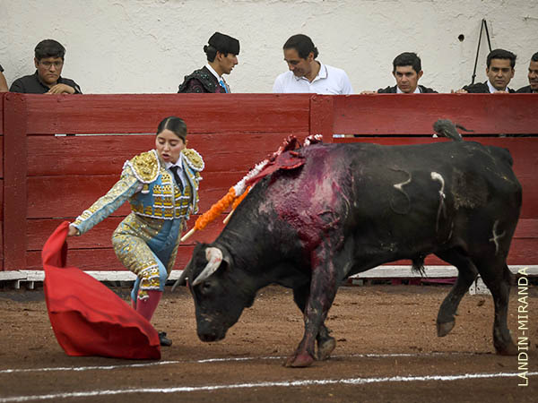 Sin prisas, muy due�a de la situaci�n