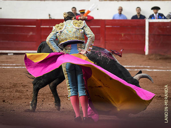 Tore� por nota, con el capote