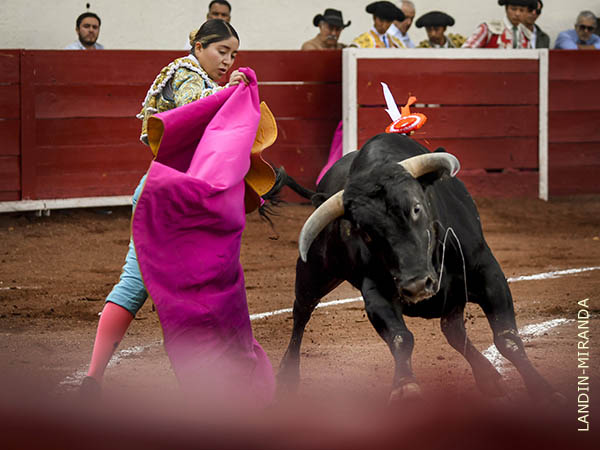 Luz Elena inicia la novillada