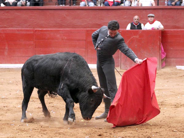 Toreo cl�sico en el ruedo