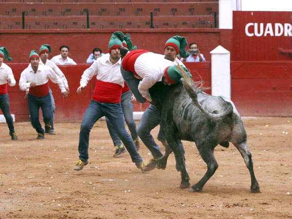 Los forcados presentes en el festejo