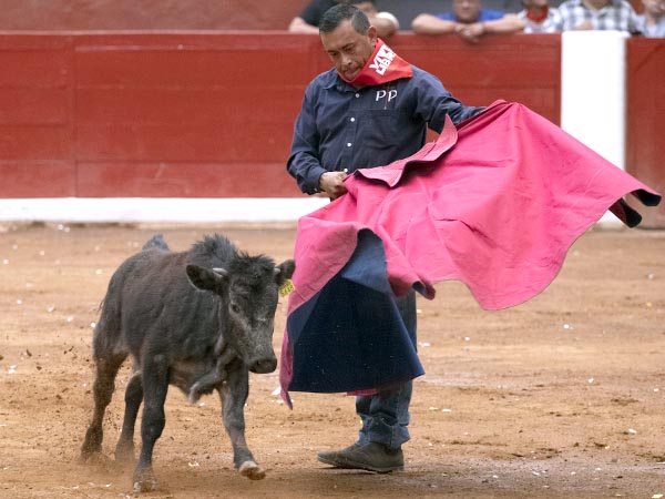 Los vuelos del capote