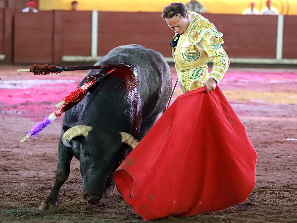 Suavidad en el trazo