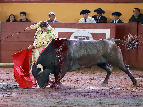 Calidad en la embestida