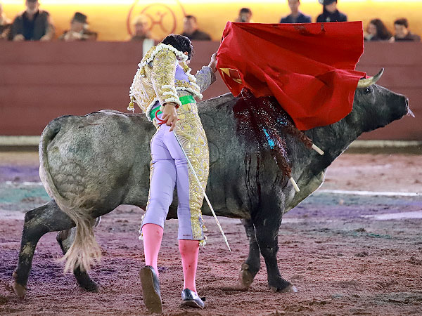 Pas�ndose todo el toro