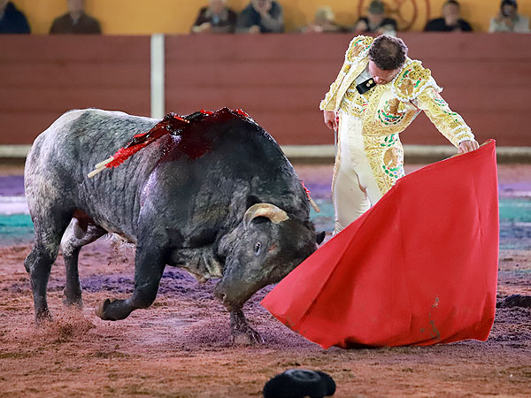 Disfrutando el toreo