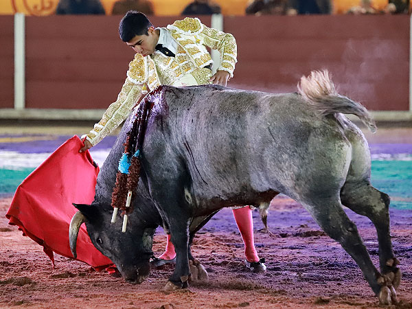 El toricantano estructurando su faena