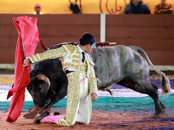 Vibrante inicio de faena