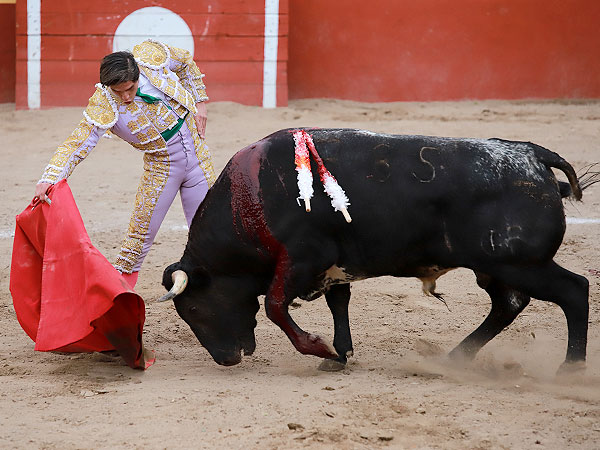 Buen Toro de El Vergel