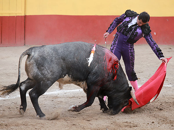 Recital de naturales