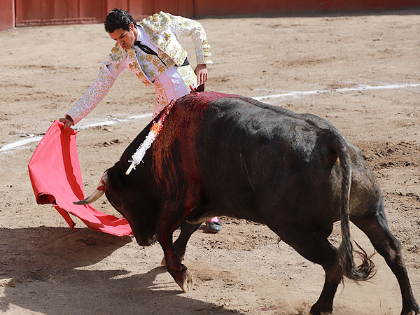 Meti�ndolo en la muleta