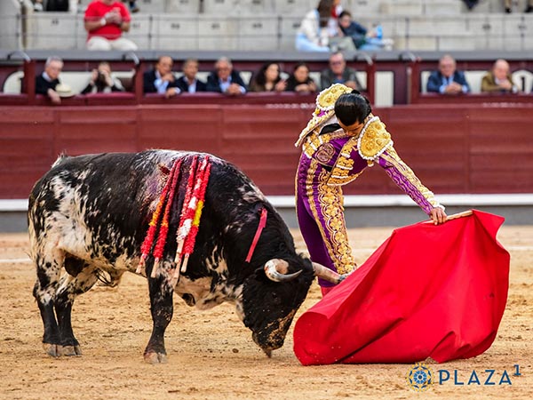Corta respuesta del tendido