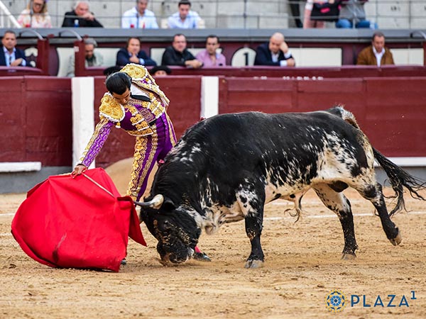 Lo hizo seguir su muleta