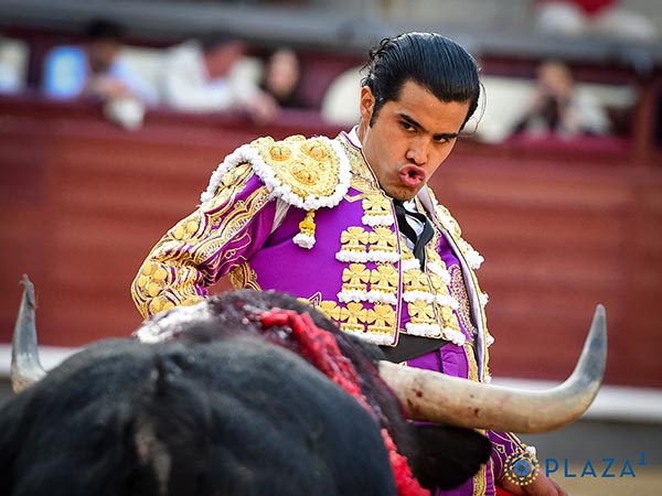 En la cara del ejemplar