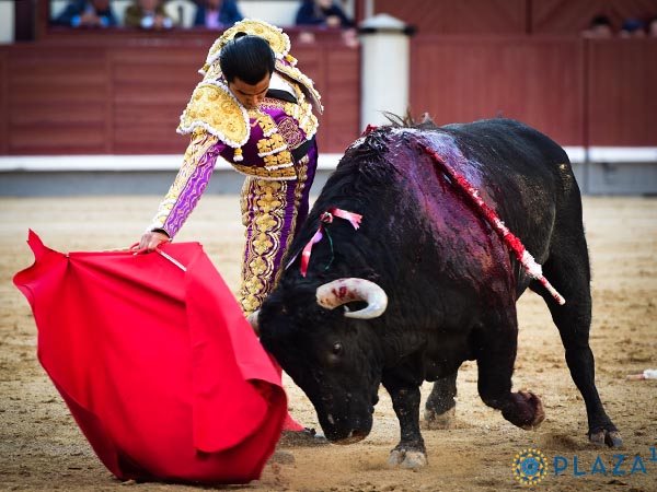 Firmeza fue su sello