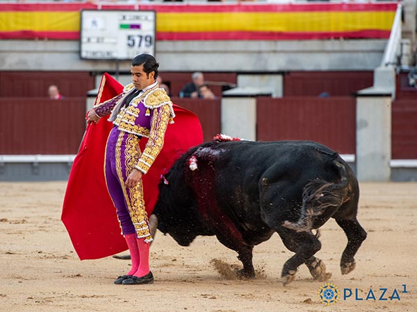 Vertical en el cambiado