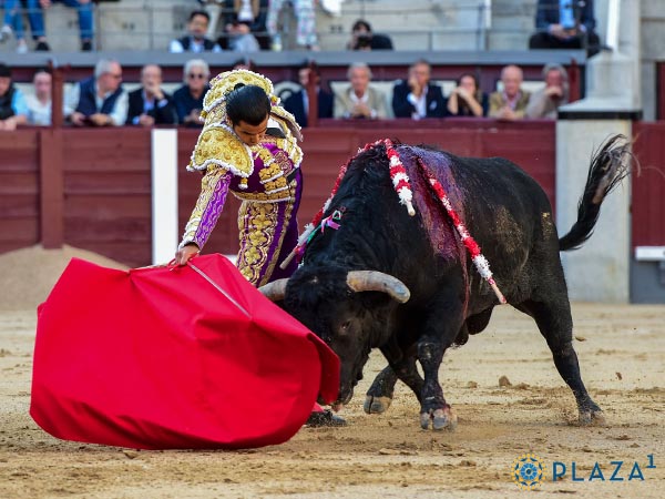 Acompa�ando la embestida