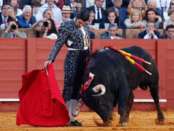 Zapatillas siempre sembradas en la arena