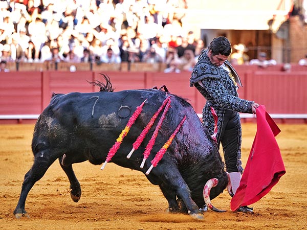 Estructurado, conciso y preciso