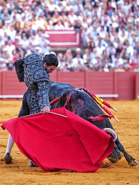 Sentimiento delante del toro