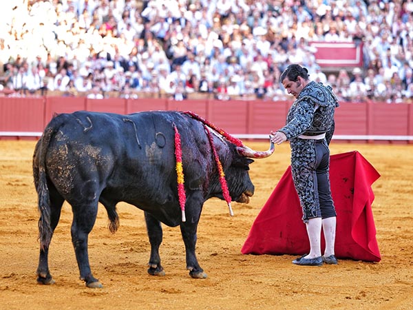 Ten�a que pasar algo...